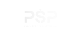 psp